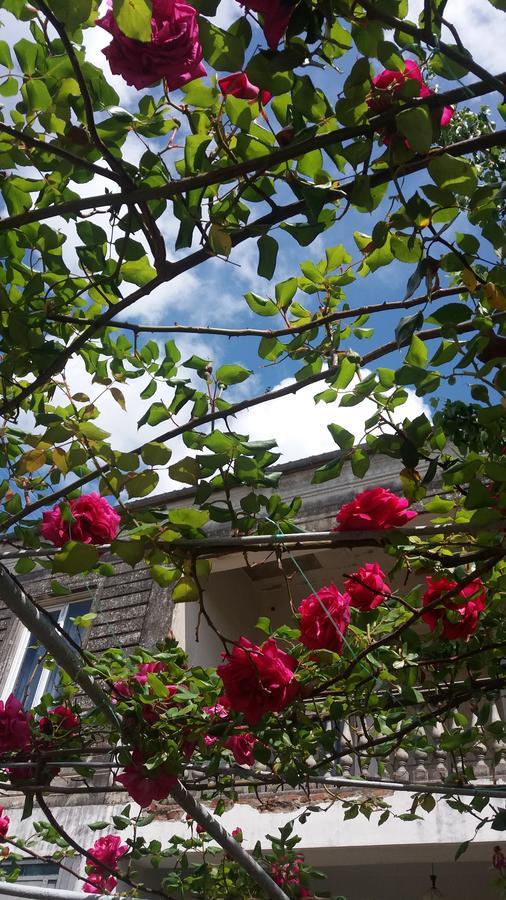 Guest House T&N Kutaisi Luaran gambar