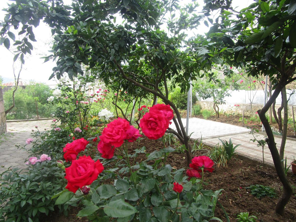 Guest House T&N Kutaisi Luaran gambar